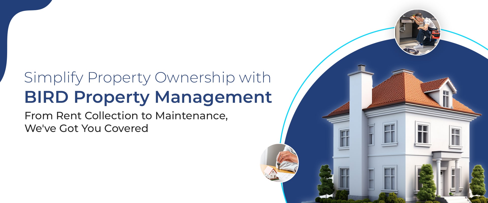 bird-property-home-page-banner-1-min